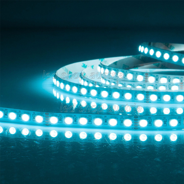 LED Strip 24V Professional RGB-WW 19W 4in1 Chip 96 LED/m 5m Rolle selbstklebend