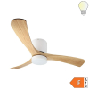 18W LED Deckenventilator Roteiche weiß CCT