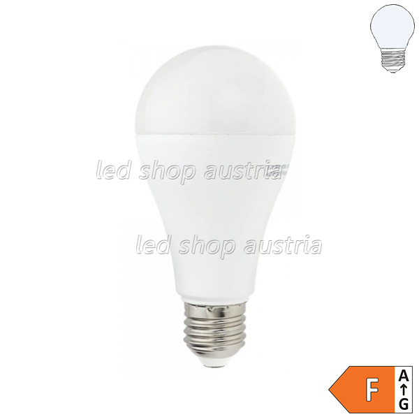 LED Birne 19W E27 A65 kaltweiß