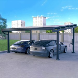 Doppelstellplatz Solar-Carport Aluminium Komplettbausatz (ohne PV-Module)