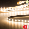 LED Strip Micro 24V 9,6W/m 120LED/m 5m Rolle selbstklebend warmweiß