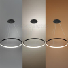 30W LED CCT Pendelleuchte Dimmbar Schwarz Ø50cm