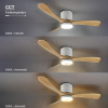 18W LED Deckenventilator Roteiche weiß CCT